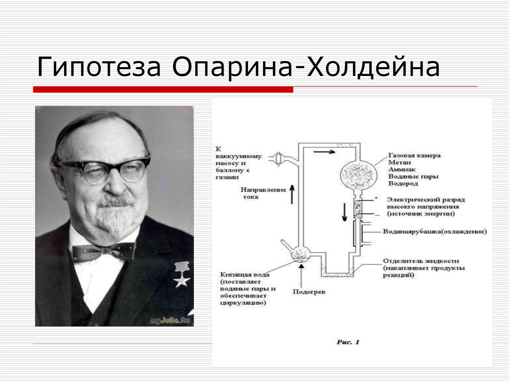 Гипотеза опарина холдейна этапы