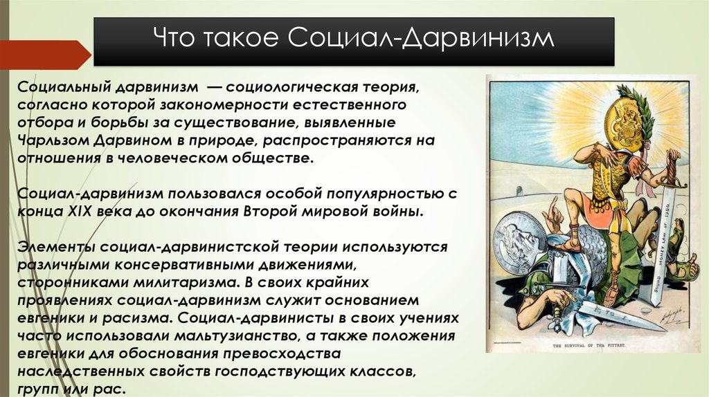 Современный социал дарвинизм. Социал дарвинизм. Социал-дарвинизм основные положения. Теория социал дарвинизма. Основные идеи социал дарвинизма.