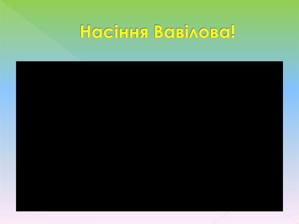 Насіння Вавілова!