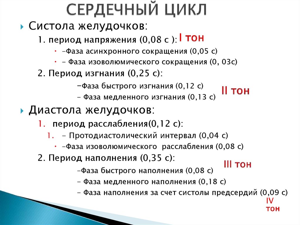 Сокращение желудочков. Периоды сердечного цикла физиология. Фазы и периоды сердечного цикла. Фазы сердечного цикла физиология. Последовательность фаз сердечного цикла.