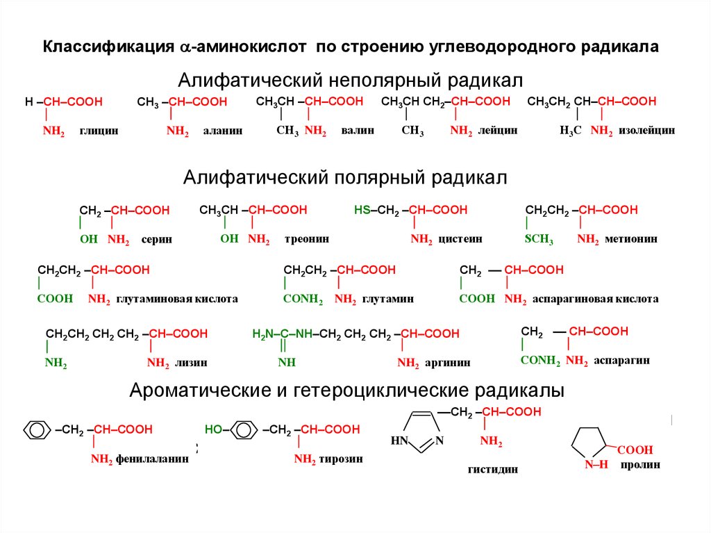 Классификация -аминокислот по строению углеводородного радикала