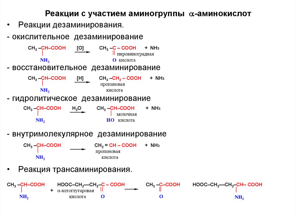 Какой признак положен в основу классификации аминов