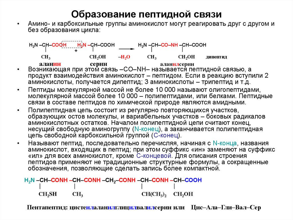 Группы образованы