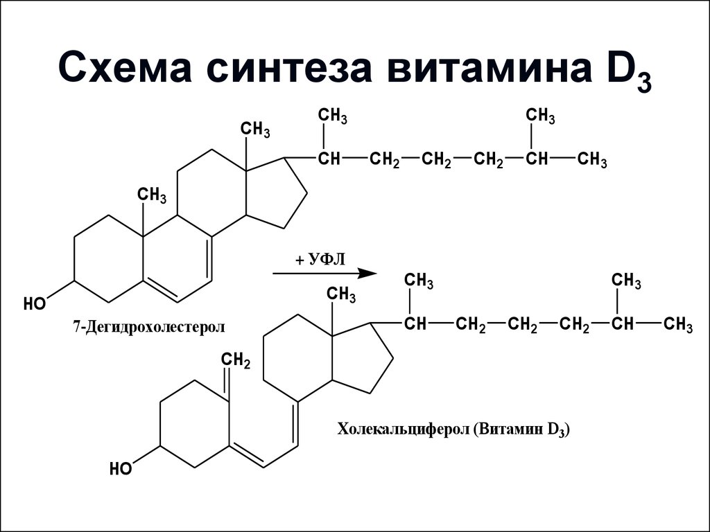 Схема вит д