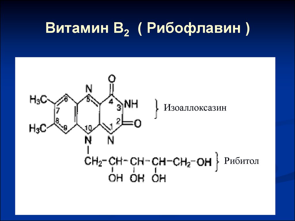 Витамин В2 ( Рибофлавин )