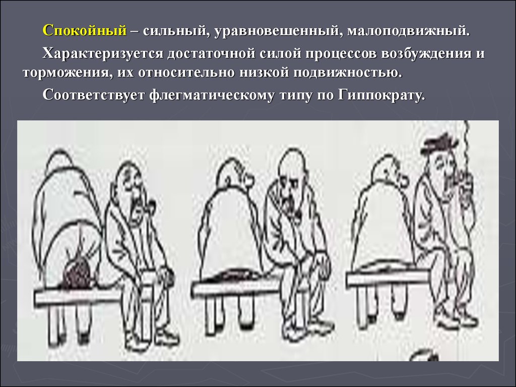 Типы внд по гиппократу и павлову. Тип ВНД сильный уравновешенный малоподвижный. Спокойный Тип нервной деятельности. Спокойный и уравновешенный. Уравновешенный человек.