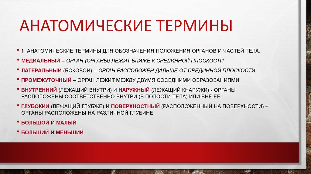 Терминологией называется