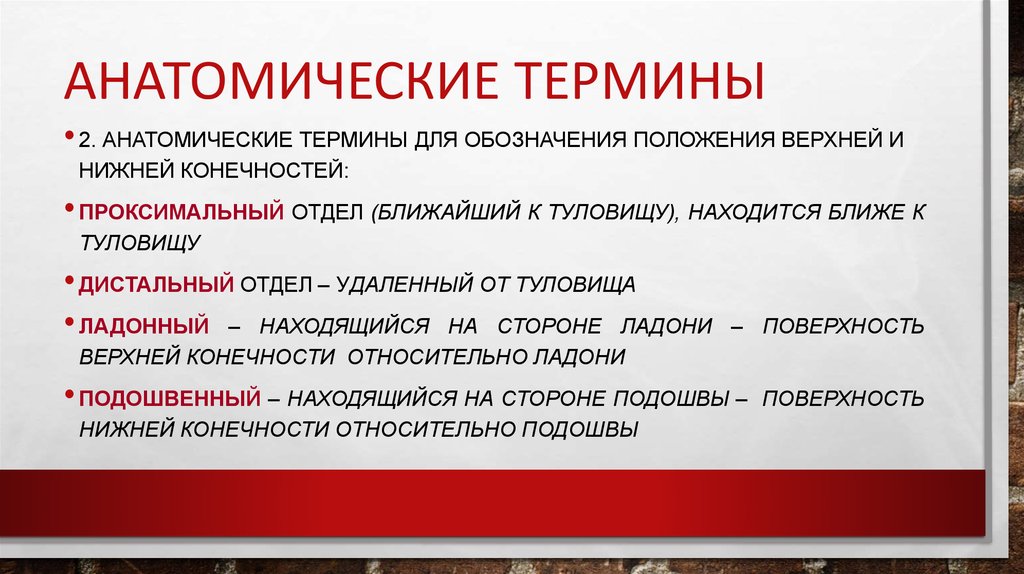 Сложные термины