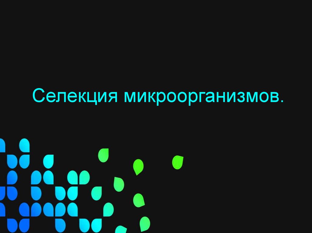 Селекция микроорганизмов. Селекция микроорганизмов спасибо за внимание.