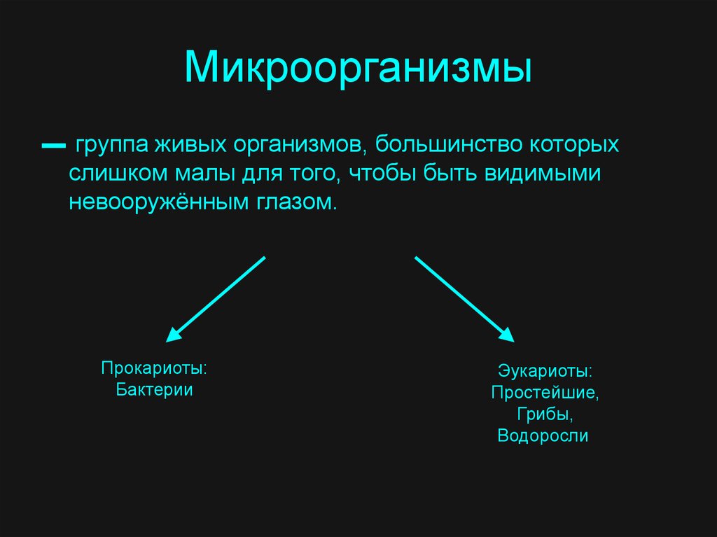 Селекция микроорганизмов презентация 10 класс