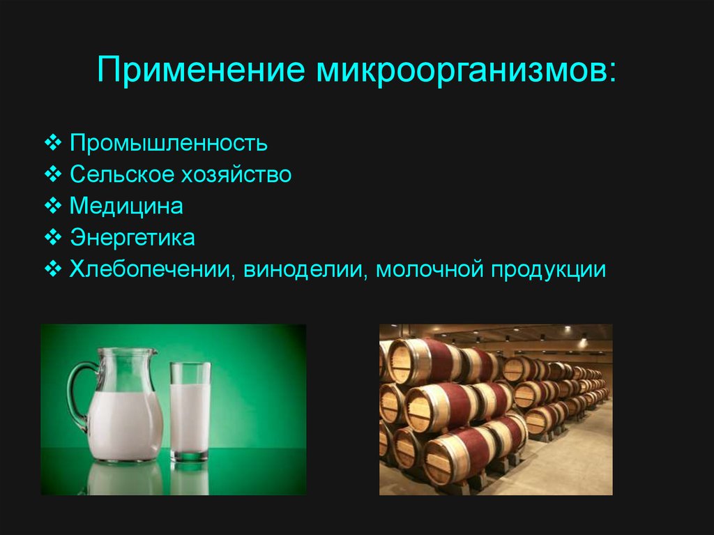 Презентация на тему применение. Использование микроорганизмов в промышленности. Использование бактерий в промышленности. Бактерии используемые в пищевой промышленности. Области применения микроорганизмов.