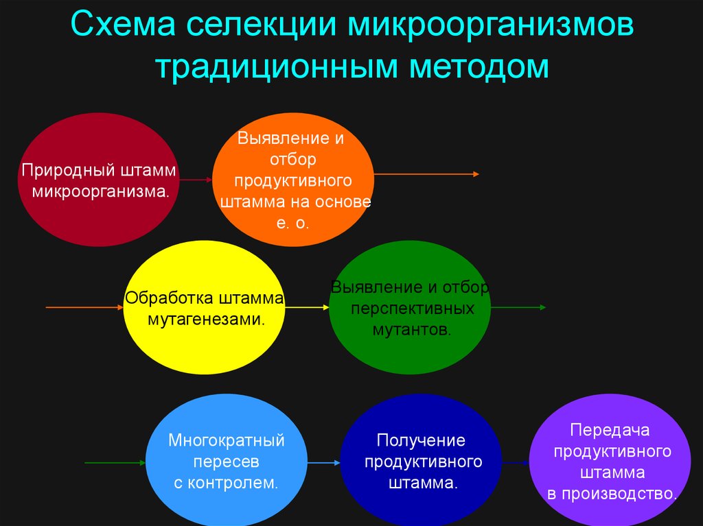 Методы селекции микроорганизмов презентация