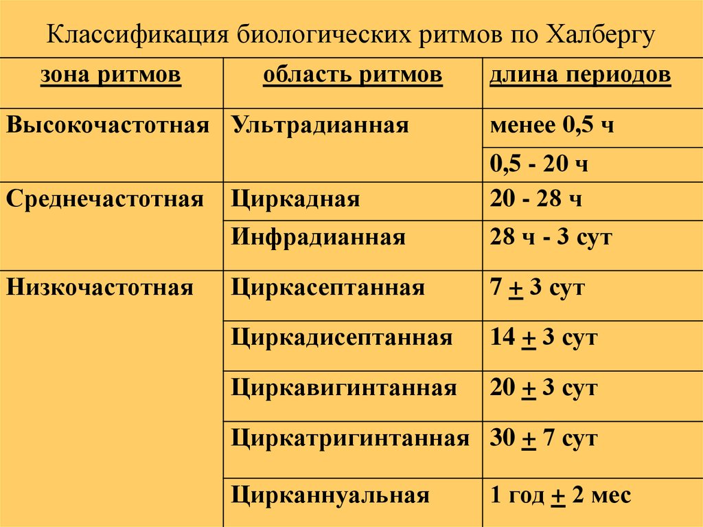 В тексте описана классификация биологических ритмов на основе текста заполни схему