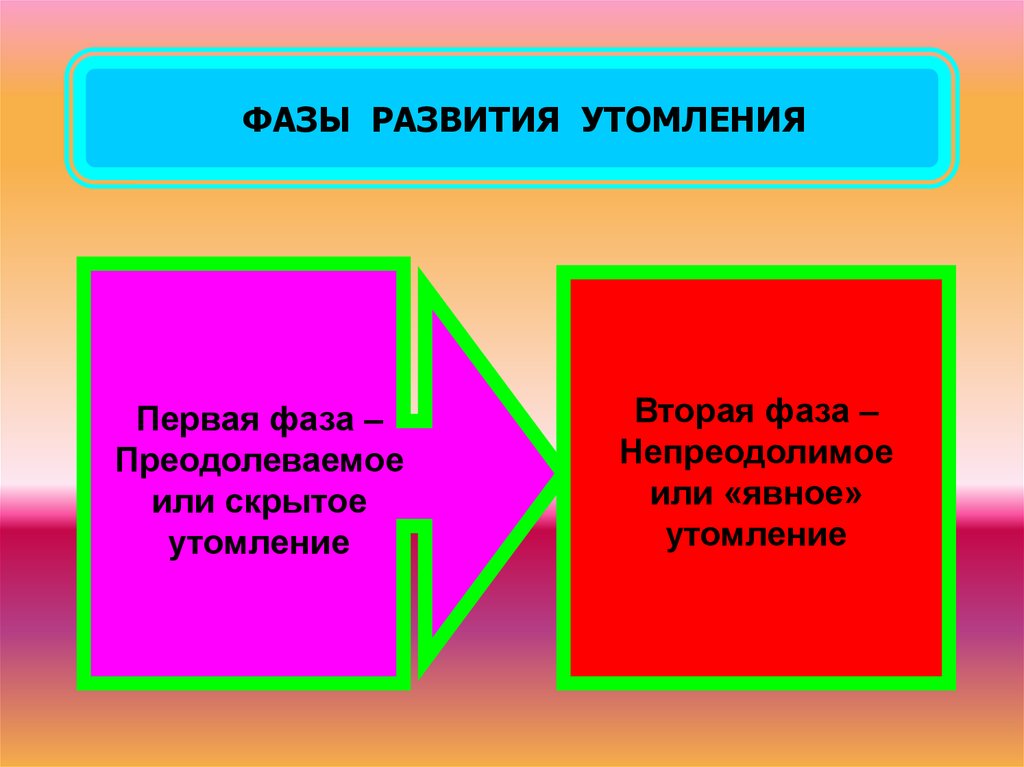 Фазы утомления. Фазы развития утомления.