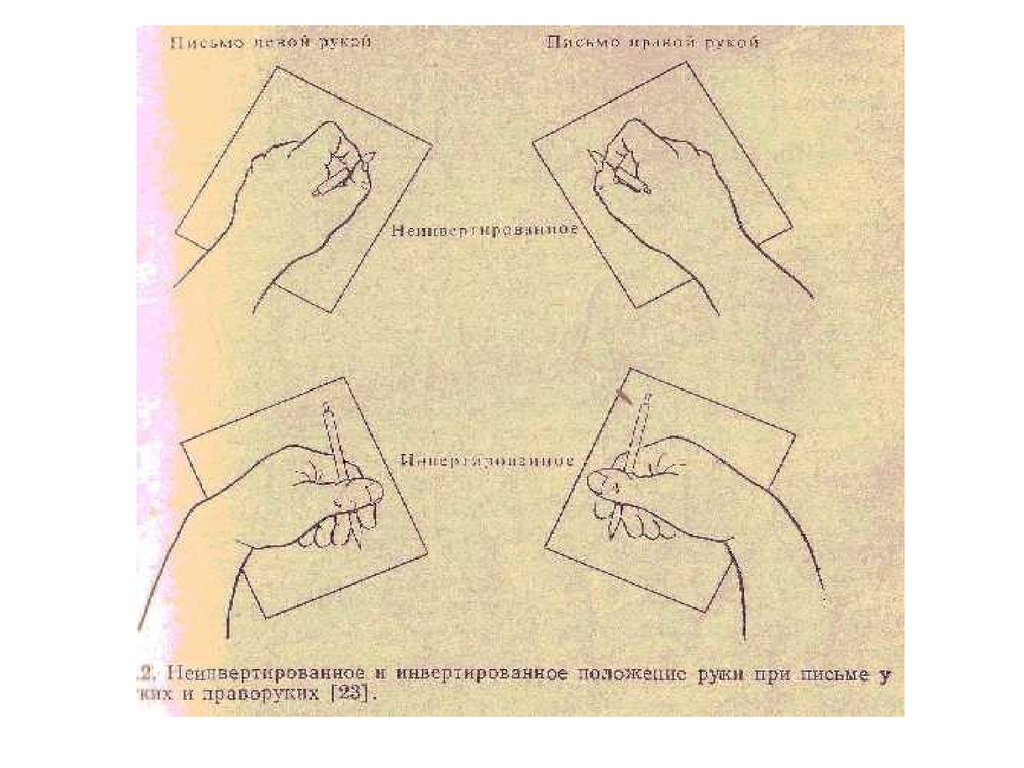 Левое положение на. Положение руки при письме праворуких.