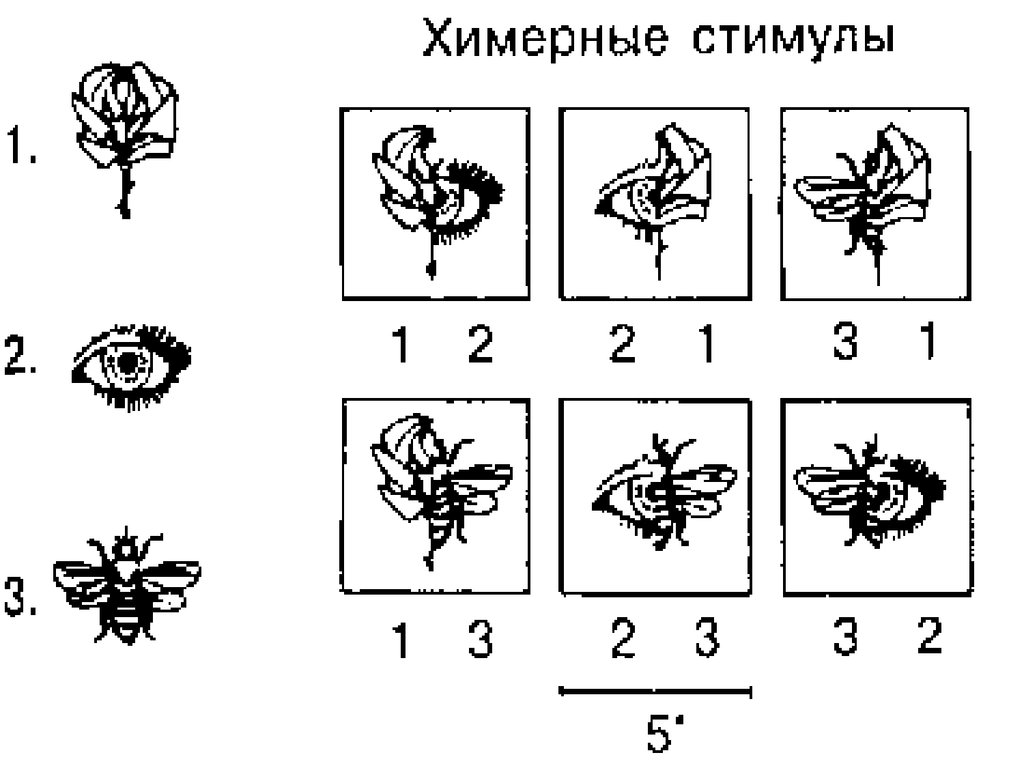 Химерные изображения методика