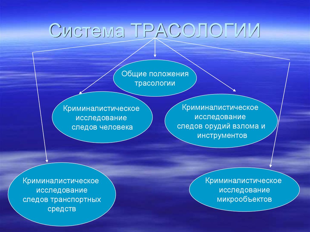 Криминалистическая трасология презентация