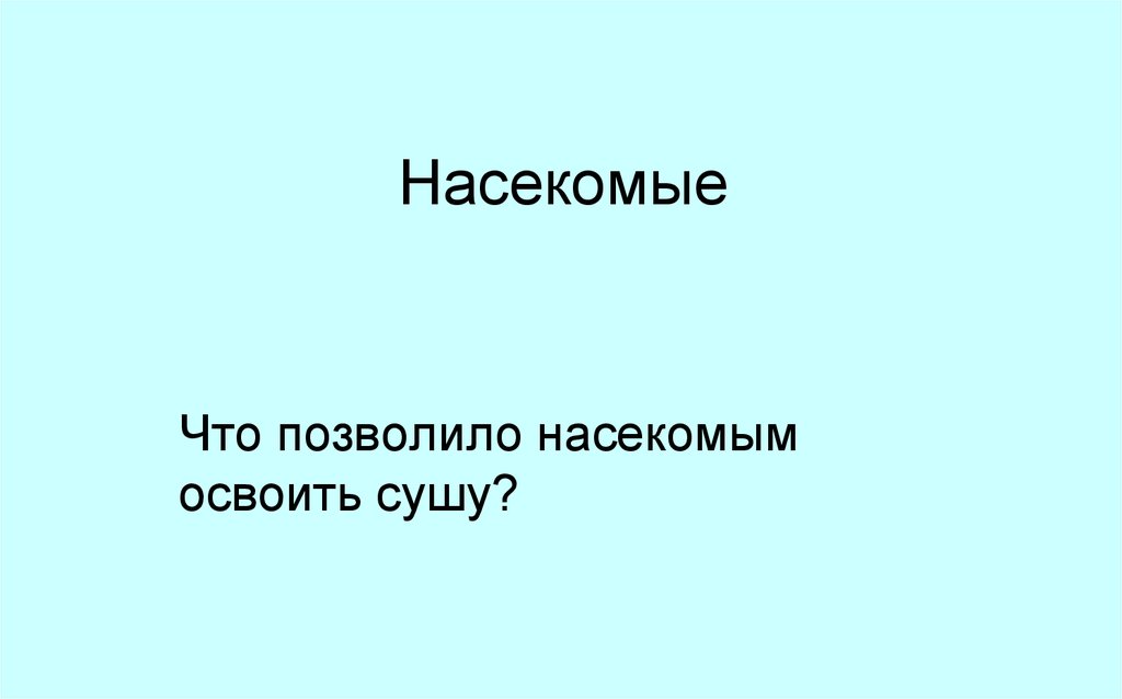 Насекомые