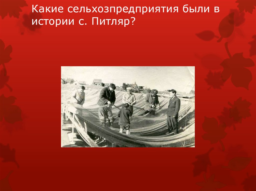 Какие сельхозпредприятия были в истории с. Питляр?