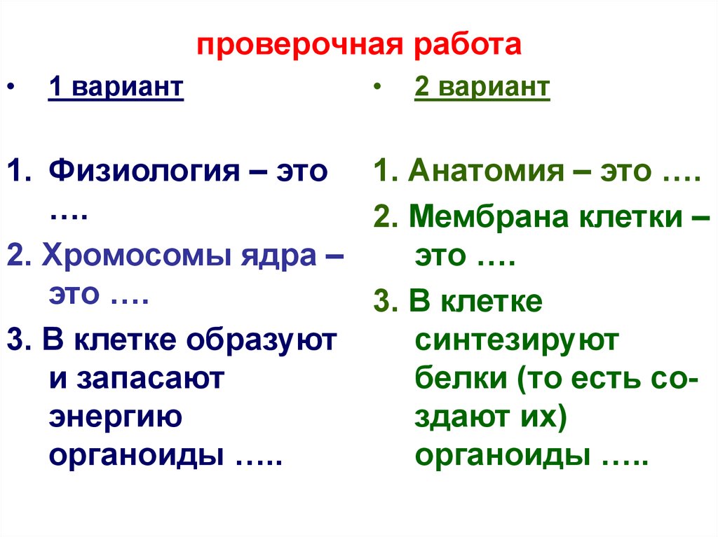 План описания семьи