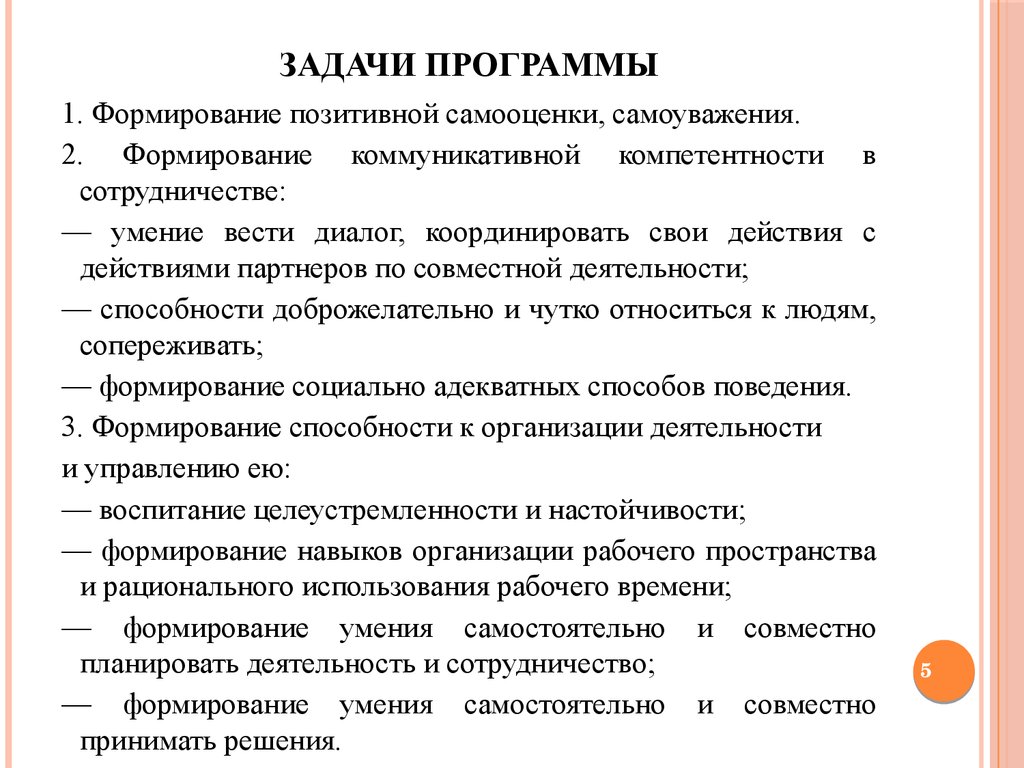 Задачи программы. Задачи руководителя программы.