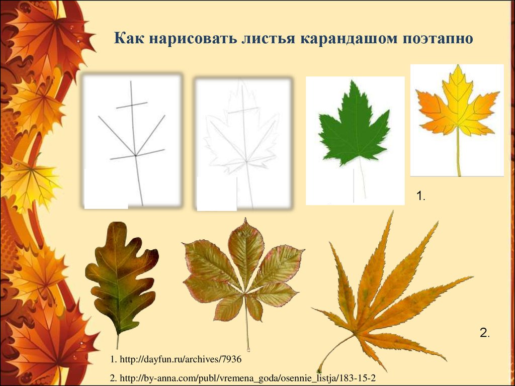 Изо осенние листья. Изо деревья листья. Осенние листья изо. Листья урок изо. Уроки изо рисование осенних листьев.