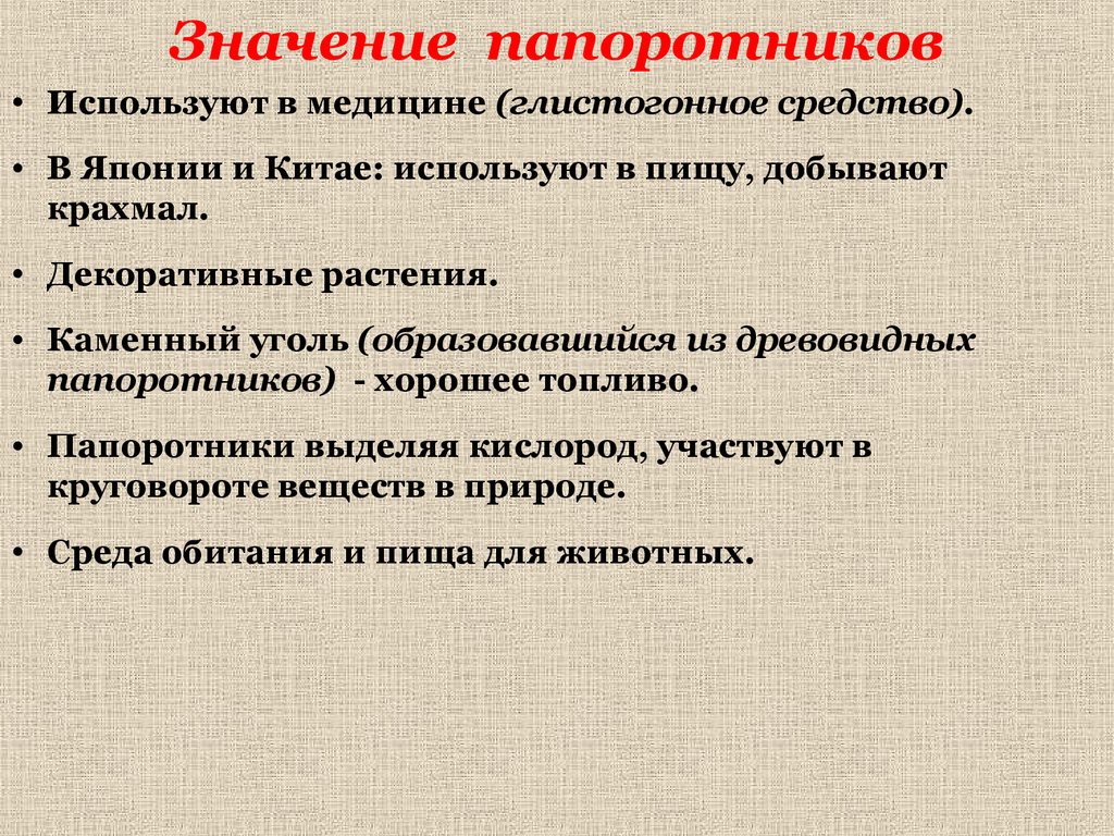 Значение папоротника в природе и жизни человека