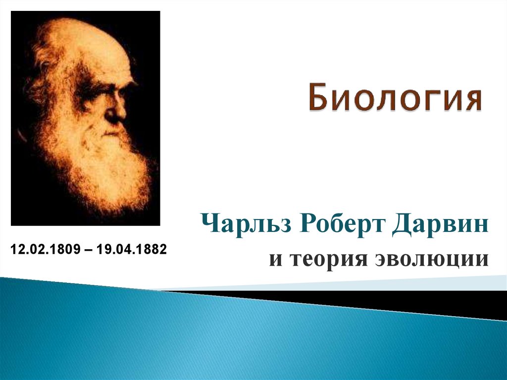 Дарвин эволюция. Теория эволюции ч. Дарвина (1809-1882).. Эволюционная теория Чарльза Дарвина.