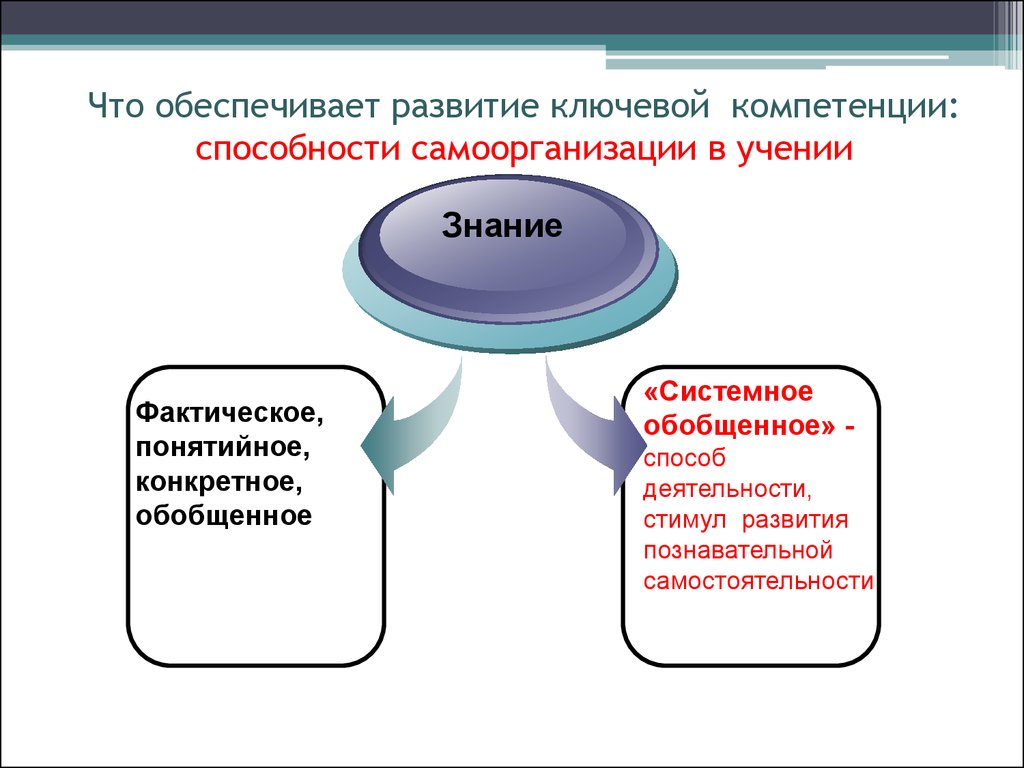 Развитый обеспечивать. Фактические знания. Фактические знания примеры. Компетенция навыки самоорганизации. Понятийные знания.