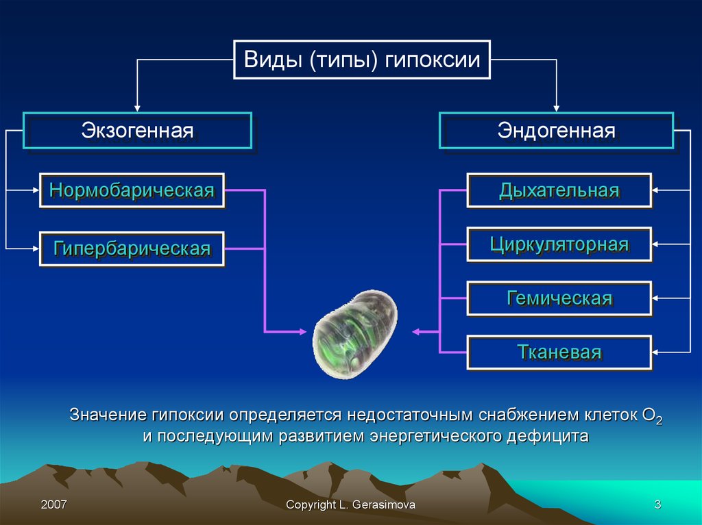 Гипоксию относят к. Гипоксия экзогенная и эндогенная. Виды гипоксии. Виды эндогенной гипоксии. Виды гтпоксий.