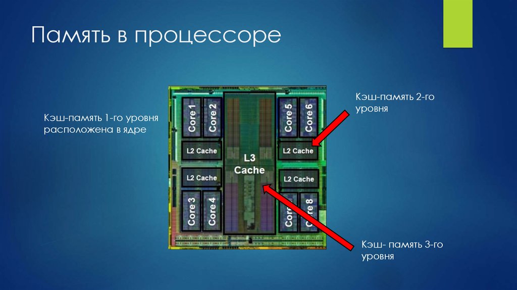 Где находится уровень. Кэш память процессора. Кэш память l1 l2 l3. Уровни кэш памяти процессора. Объем кэш памяти процессора l 3,2,1.