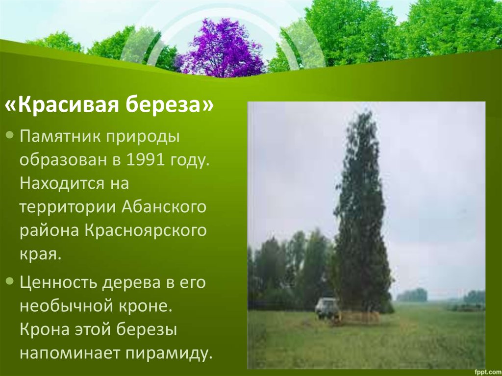 Памятники природы красноярского края