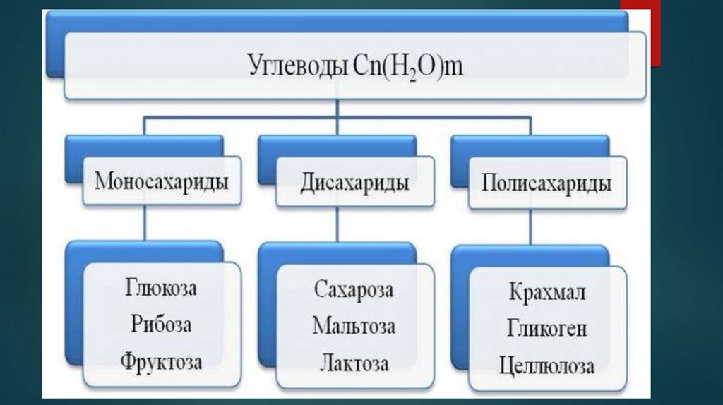 Углеводы биохимия презентация