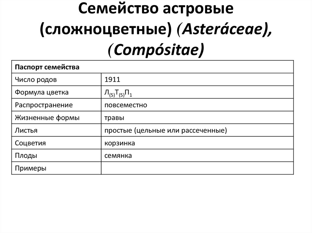 Описание семейства сложноцветные по плану 6 класс