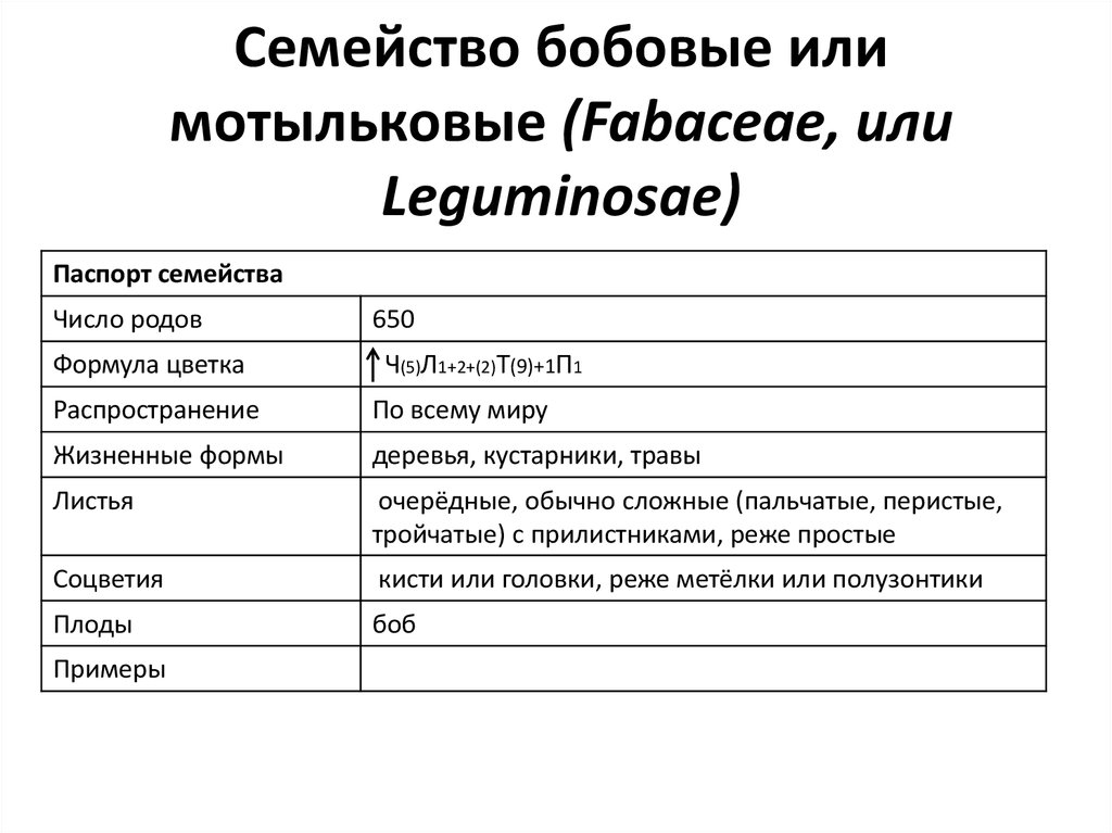 План характеристики семейства бобовые