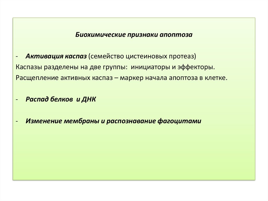 Биохимические симптомы. Биохимические признаки апоптоза. Основным биохимическим признаком апоптоза является. Биохимические признаки. Признаки активации апоптоза что это.