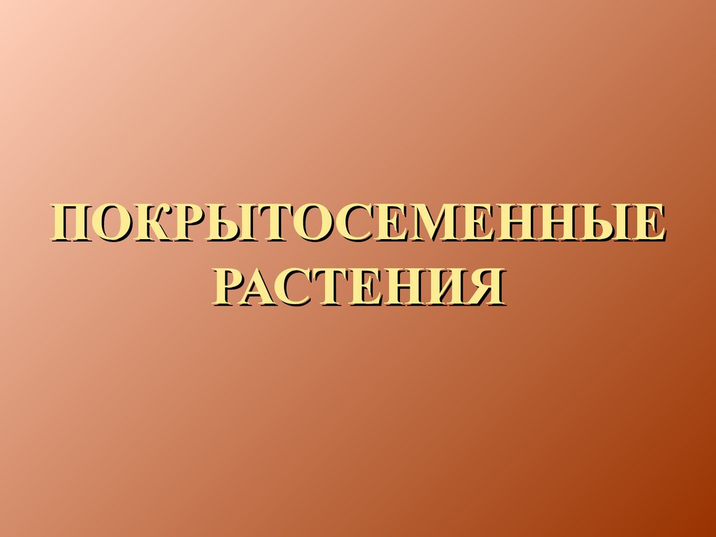 Покрытосеменные растения - презентация онлайн