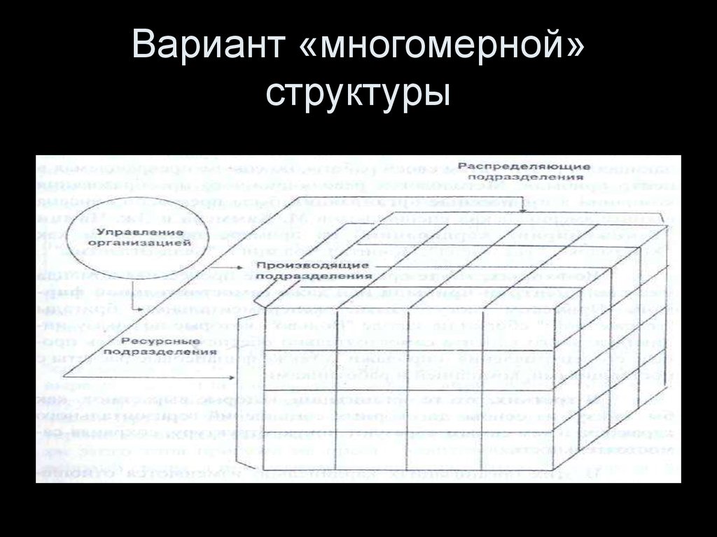 Структура варианта. Многомерная организация. Многомерная структура управления. Многомерная организация схема. Многомерная организационная структура.