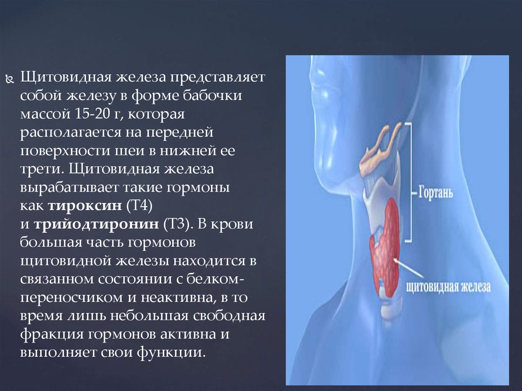 Доклад: Патология щитовидной железы и беременность
