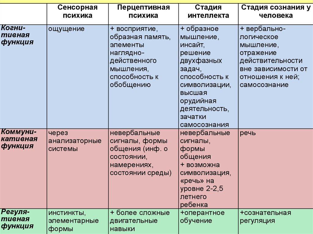 Сенсорная перцептивная интеллектуальная. Основные этапы развития психики сенсорная Перцептивная. Стадия перцептивной психики. Стадия сенсорной психики. Стадии развития психики интеллект.