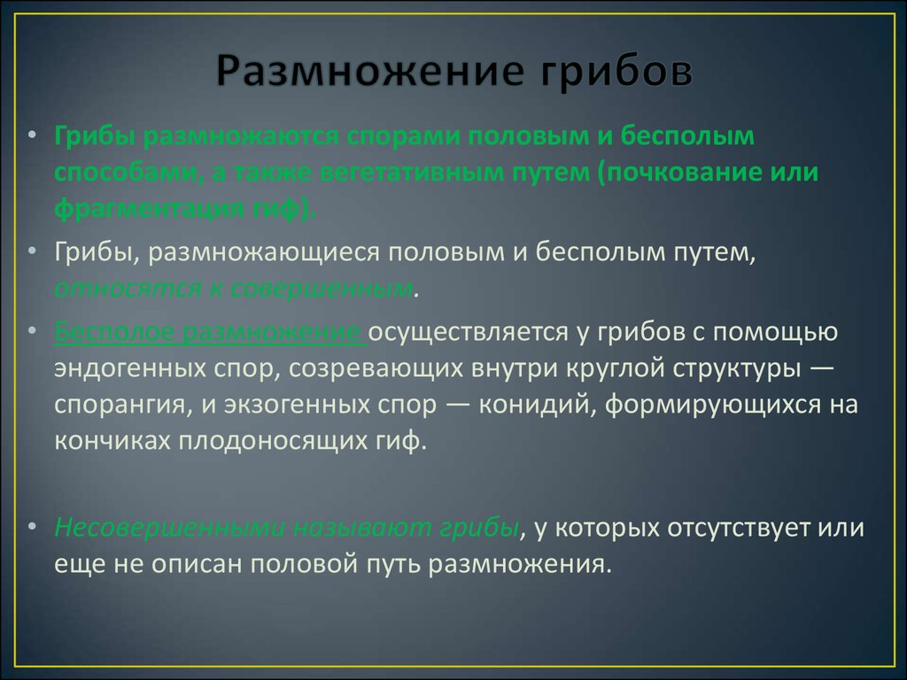 Размножение путем спор. Микология грибы классификация. Грибы размножаются половым путем. Грибы, размножающиеся половым и бесполым путем,. Половое и бесполое размножение грибов.