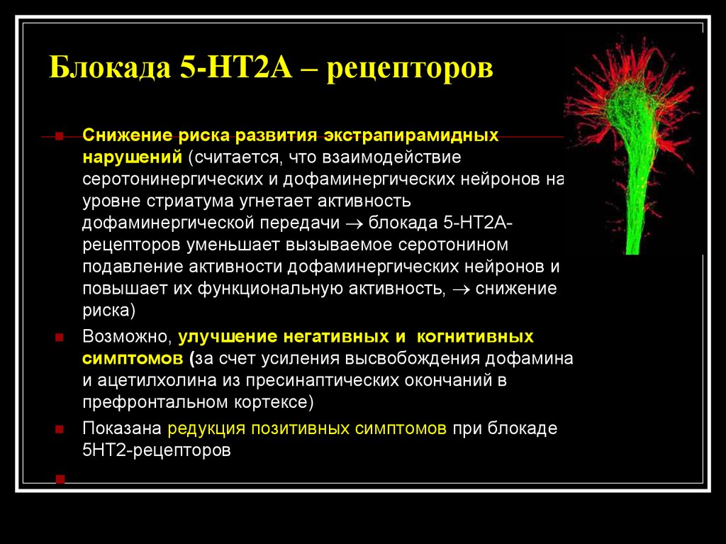 Рецептор 5. Серотониновые рецепторы 5нт2. Антагонист серотониновых рецепторов 5ht2c. 5ht рецепторы виды. 5 Нт2с рецепторы антагонист.