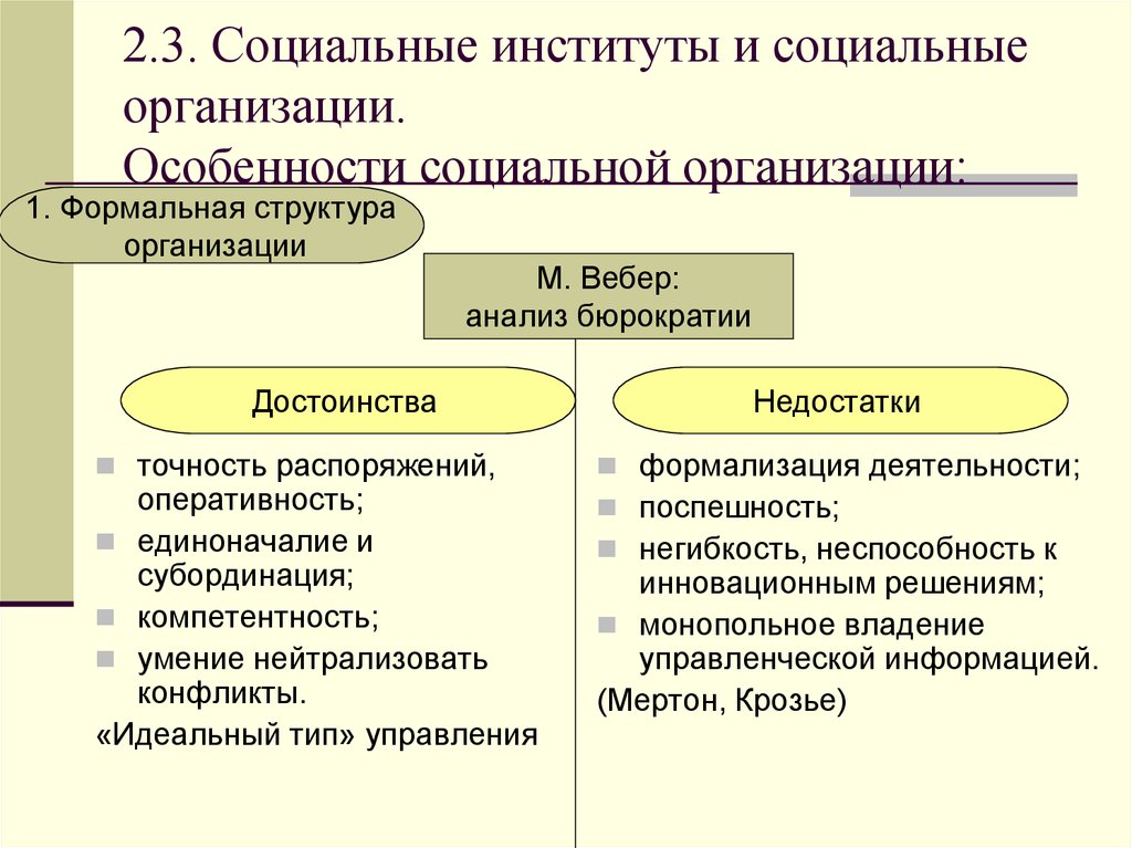 Социальная организация презентация