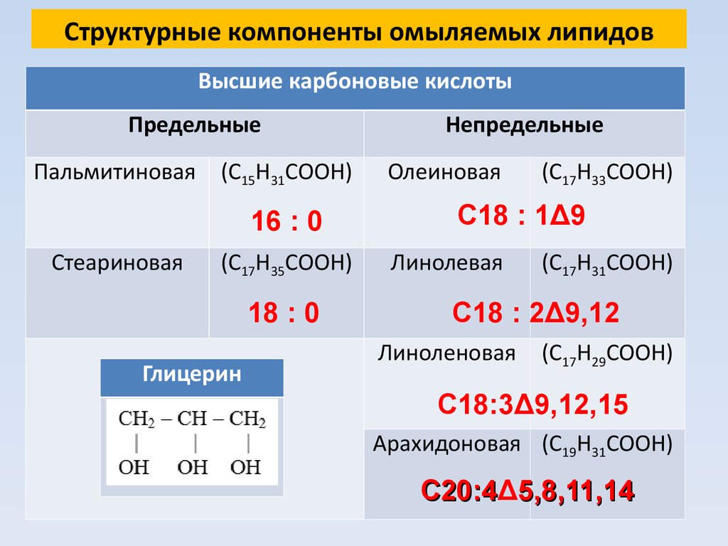 Высшие кислоты. Структурные компоненты липидов. Компоненты омыляемых липидов. Структурный компонент липидов. Высшие жирные кислоты структурные компоненты омыляемых липидов.