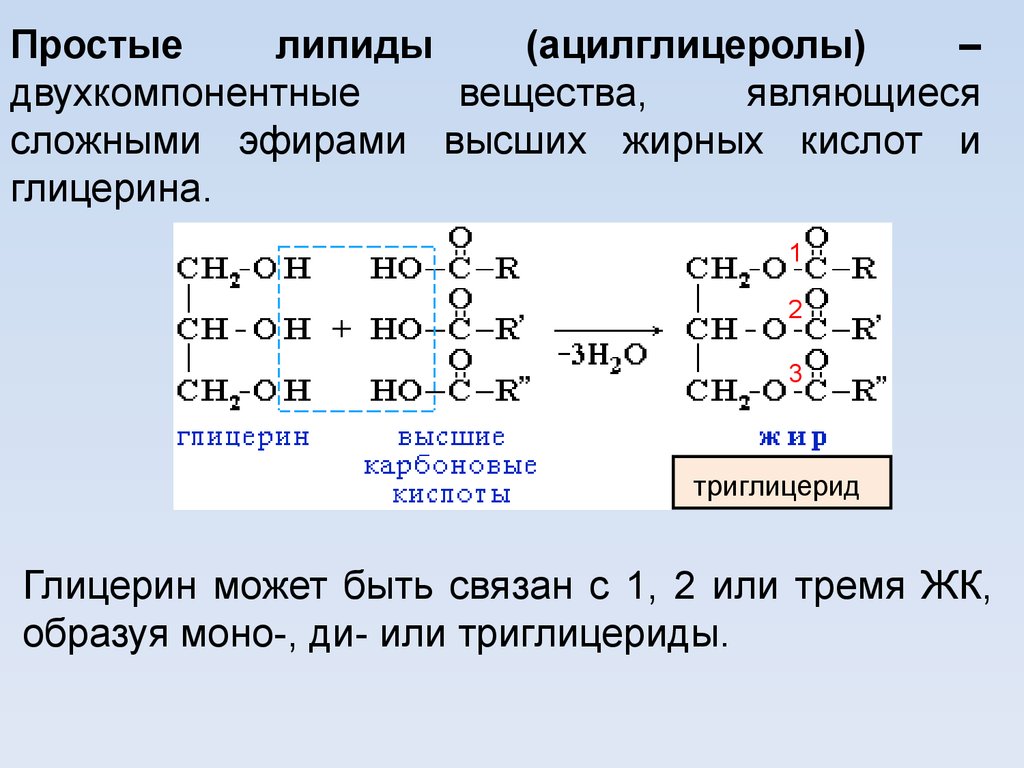 Сложным эфиром глицерина является. Реакции образования простых и сложных липидов. Строение липидов формула. Строение сложных липидов. Формула соединений липидов.