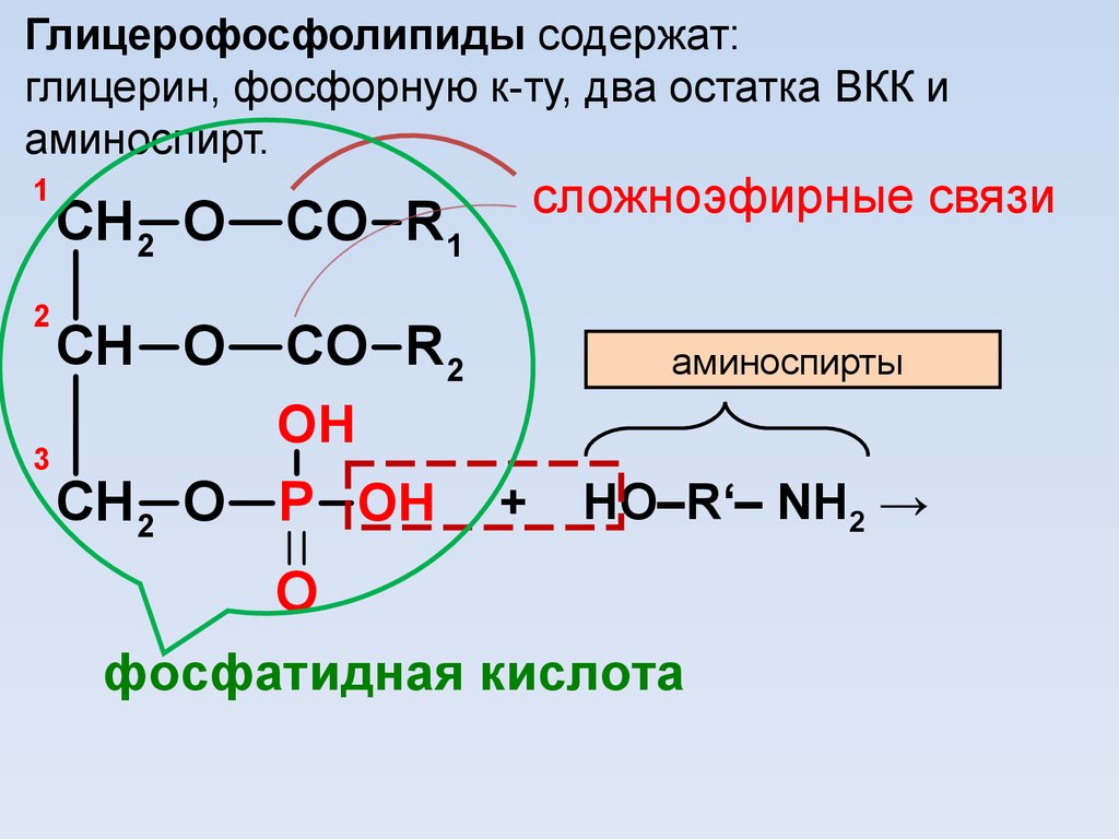 Содержат остатки фосфорной кислоты. Сложноэфирная связь. Сложноэфирная связь в фосфолипидах. Сложноэфирная связь в жирах. Глицерофосфолипиды.