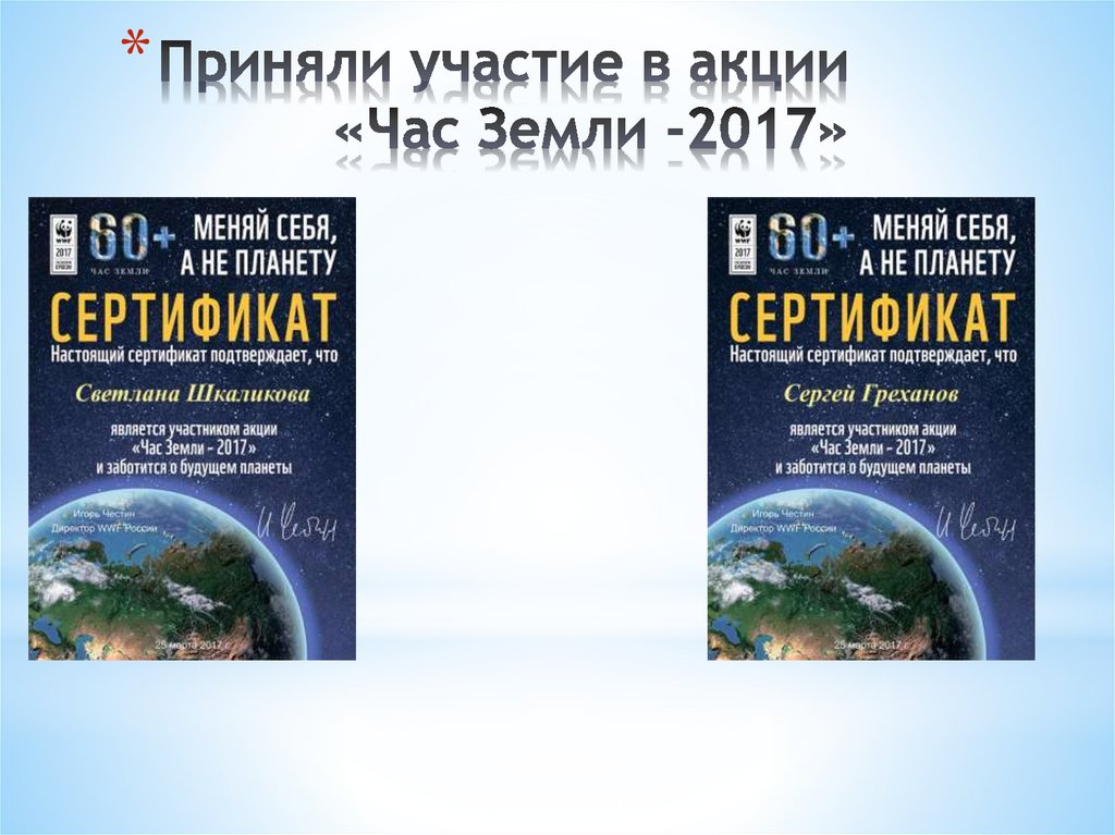 Приняли участие в акции «Час Земли -2017»