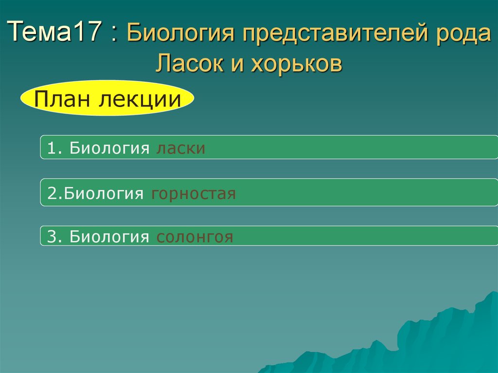 Представитель рода. Род нозеллы представители. Что такое представители в биологии. Классификация ласки по биологии. Биологическая 17.