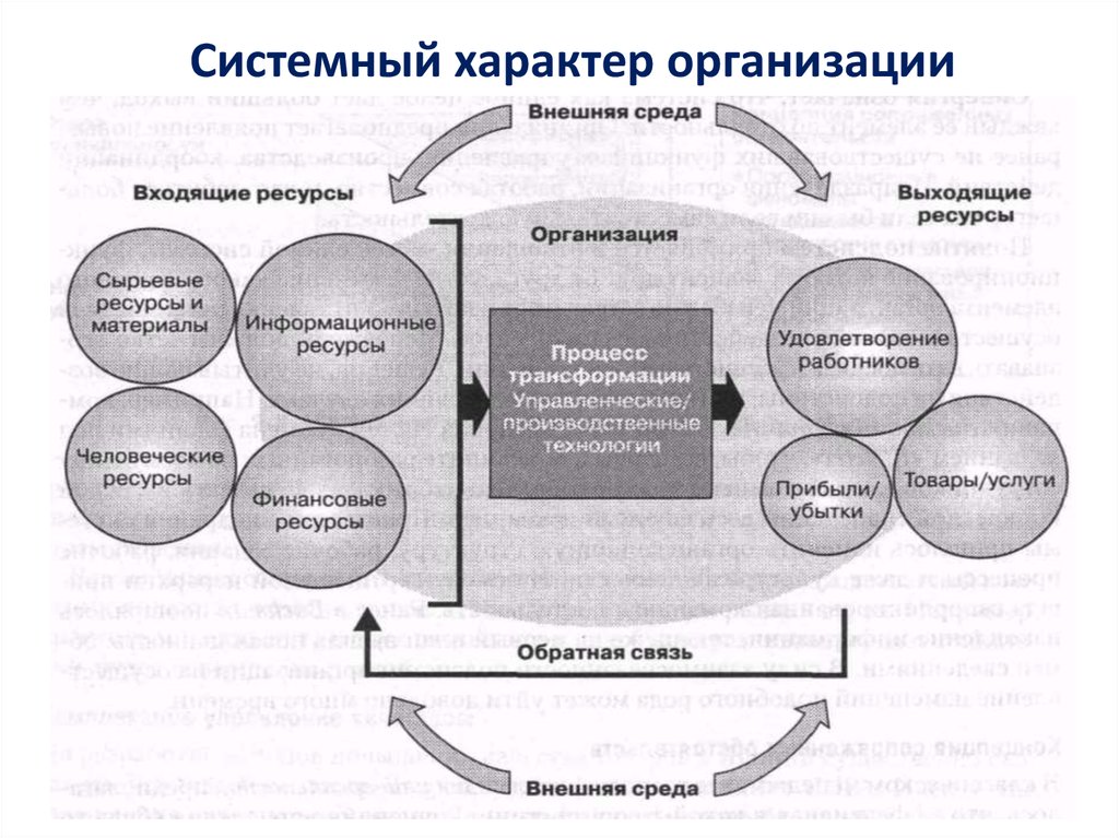 Время существования организации