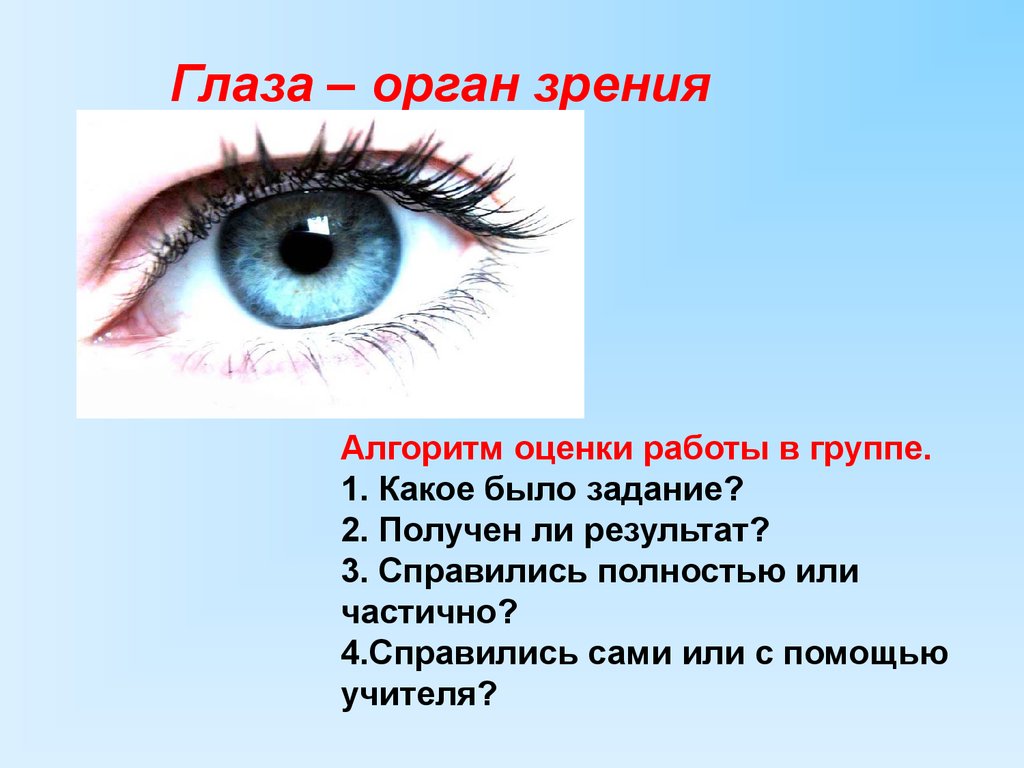 Глаза это орган чувств. Глаза орган зрения. Органы чувств зрение. Сообщение о органе чувств глаза. Глаза орган зрения 3 класс.